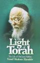 The Light of Torah - The Life of HaGaon HaRav Yosef Shalom Elyashiv